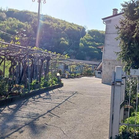 La Torretta - Incantevole Appartamento Nei Colli Berici Nanto Exteriér fotografie