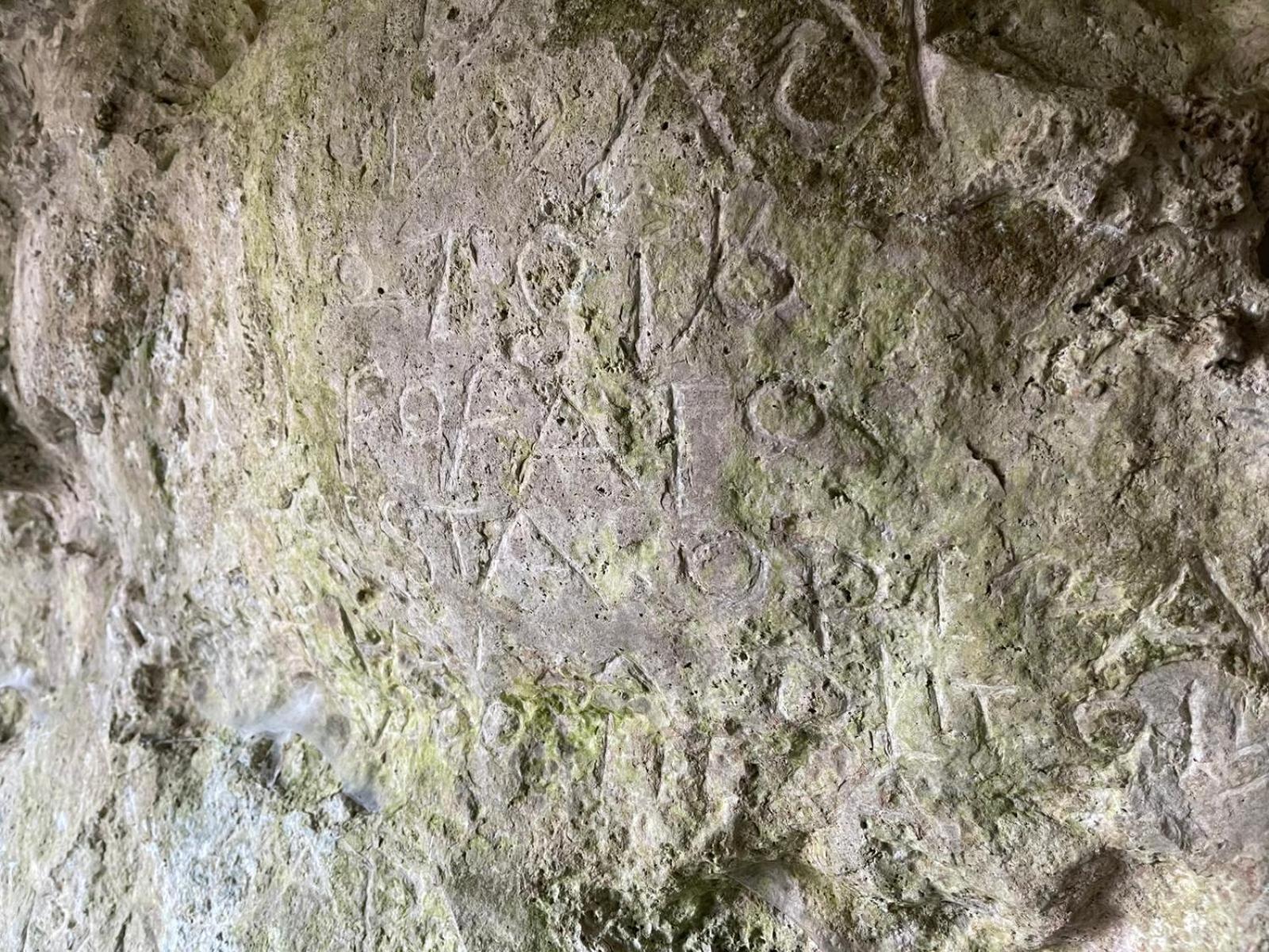 La Torretta - Incantevole Appartamento Nei Colli Berici Nanto Exteriér fotografie