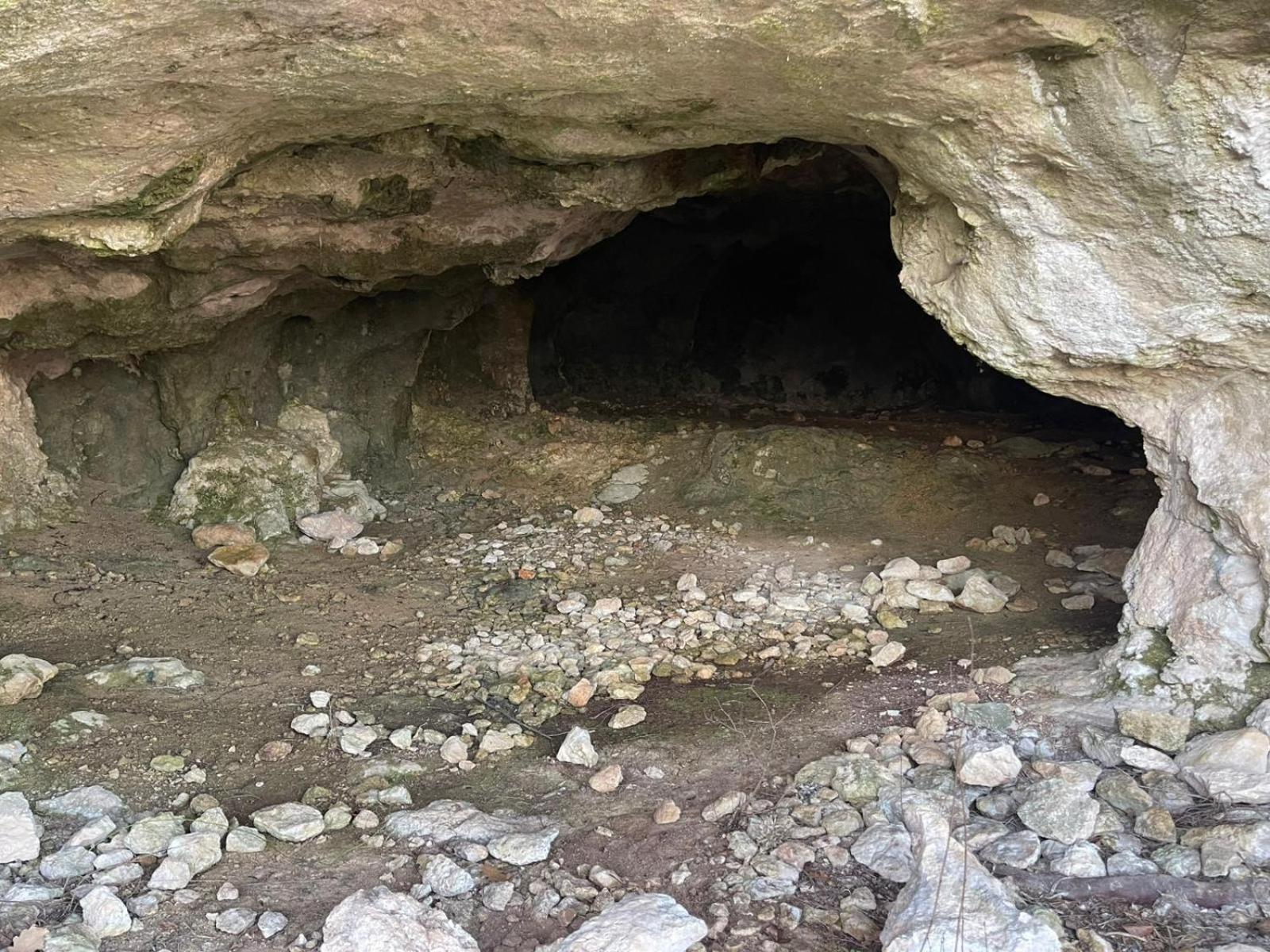 La Torretta - Incantevole Appartamento Nei Colli Berici Nanto Exteriér fotografie