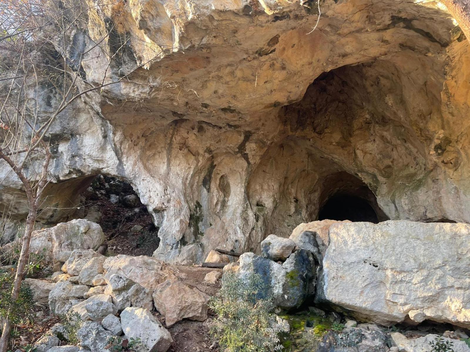 La Torretta - Incantevole Appartamento Nei Colli Berici Nanto Exteriér fotografie