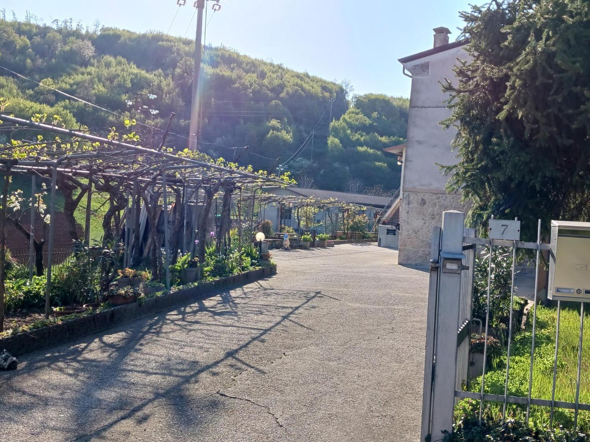 La Torretta - Incantevole Appartamento Nei Colli Berici Nanto Exteriér fotografie
