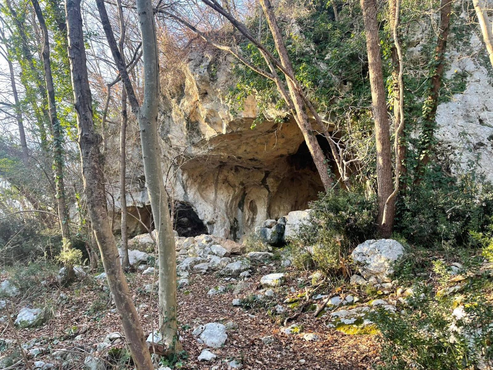 La Torretta - Incantevole Appartamento Nei Colli Berici Nanto Exteriér fotografie
